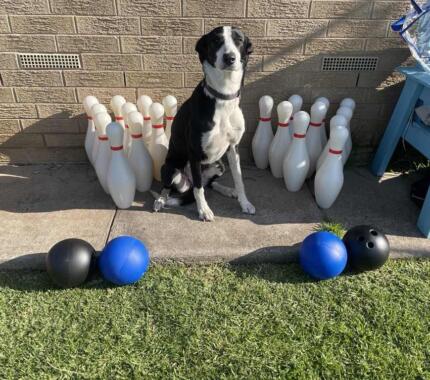 10 Pin Bowling